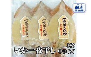 yӂ邳Ɣ[Łz銱 3 TCYy ӂ邳Ɣ[ lC  LO  CJ 銱 CJ   PY  Iz[cN kC ԑs  z ABW1