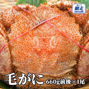 �y�ӂ邳�Ɣ[�Łz�ԑ��Y �т���660g�O��×1���y �ӂ邳�Ɣ[�� �l�C �������� �����L���O ���� �J�j �I �уK�j �т��� �ъI �ԑ��Y �Ⓚ �I�݂� �J�j�݂� �I���X �I�z�[�c�N �k�C���Y �k�C�� ��