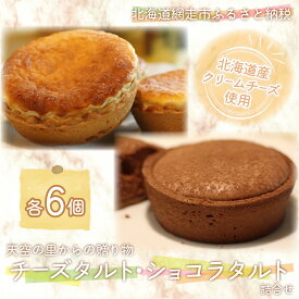 【ふるさと納税】天空の里からの贈り物 風花 チーズタルト・ショコラタルト詰合せ12個入り（網走加工） 【 ふるさと納税 人気 おすすめ ランキング タルト チーズタルト ショコラ 焼ショコラタルト 風花 菓子 スイーツ 冷凍 詰め合わせ 北海道 網走市 送料無料 】 ABZ006