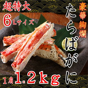 記事番号:12/アイテムID:601278の画像