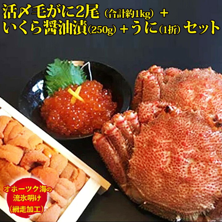 楽天市場】【ふるさと納税】北海道 海産物 ＜オホーツク海の流氷明け＞活〆毛がに2尾（合計約1kg）＆いくら醤油漬（250g）＆うに（1折）セット（網走加工）  : 北海道網走市