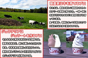 【ふるさと納税】【日本人国際大会優勝店Rimo(旧リスの森)がお送りする】ジェラート18個セットA