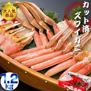 yӂ邳Ɣ[Łzy12/30܂ł͂tzYCKj Jbg r[hZbg 1.2kg 3lO y ӂ邳Ɣ[ lC  LO YCKj 킢 YCI Jj  I |[V