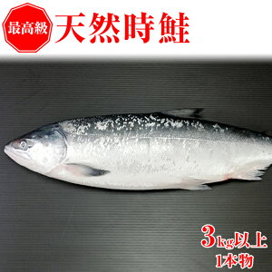 yӂ邳Ɣ[Łzys\z ōVR1{ wsi2025N6ȍ~\jy ӂ邳Ɣ[ lC  LO  TP Ⴏ VP   ؂g VA