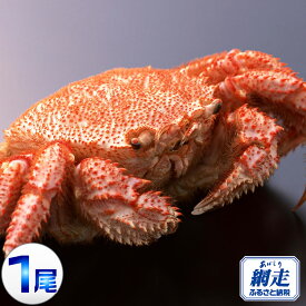 【ふるさと納税】毛ガニ 北海道 オホーツク海 網走産 毛がに 400g前後 1尾 ボイル冷凍 ギフト 毛蟹 カニ 北海道 お取り寄せ グルメ 網走市※一部地域を除く