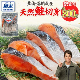 【ふるさと納税】【訳あり】【無添加】北海道網走産天然鮭切り身 800g 【 ふるさと納税 人気 おすすめ ランキング 鮭 さけ シャケ しゃけ 切身 切り身 きり身 鮭切身 鮭切り身 しゃけ切身 シャケ切身 網走産 800g オホーツク 北海道 網走市 送料無料 】 ABAE016