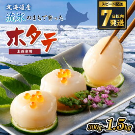 【ふるさと納税】ホタテ 大粒【漁場直送 7日以内発送】無添加 選べる 300g ~ 1.5kg 【 ふるさと納税 ホタテ 訳あり ほたて 訳あり ホタテ 北海道 大粒 帆立 貝柱 刺身 人気 不揃い 小分け 無添加 天然 網走市 送料無料 】