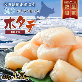 【ふるさと納税】ホタテ 網走前浜産 無添加 ほたて 貝柱 選べる 300g ~ 1.5kg 2026年 新物 先行予約【 ふるさと納税 ホタテ ほたて 帆立 貝柱 ホタテ 訳あり ほたて 大粒 貝柱 刺身 人気 不揃い 小分け 無添加 天然 北海道 網走市 送料無料 （令和8年6月より順次発送） 】