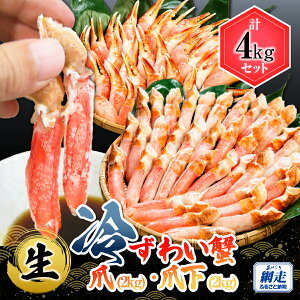 �y�ӂ邳�Ɣ[�Łz�y���h�g�z���₸�킢�I�܁E�܉� �e4kg�y �ӂ邳�Ɣ[�� �l�C �������� �����L���O �Y���C�K�j �J�j �J�j�� �J�j�܉� ��e�� �k�C�� �ԑ��s �������� �z ABB170