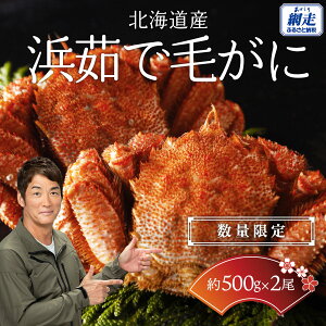 yӂ邳Ɣ[ŁzyʌzkCYl䥂ŖтɁy500g×2ziԑHj y ӂ邳Ɣ[ lC  LO ъI уKj т ɖX Jj݂ l䥂 kC ԑ