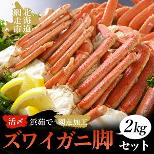 yӂ邳Ɣ[ŁzYl䥂ŃYCKjr2kgZbgiԑHj yӂ邳Ɣ[ lC  LO YCKj 킢  Jj I Kj YC 킢 l䥂 r 2kg Zbg 