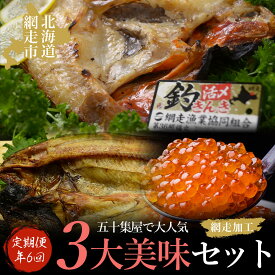 【ふるさと納税】【年6回隔月定期便】五十集屋で大人気の3大美味セット(オホーツク海産・網走加工 数量限定) 【 いくら醤油漬 醤油漬け 醤油漬 鮭 いくら さけ きんき キンキ ホッケ ほっけ 一夜干し 開き セット 定期便 冷凍 オホーツク 北海道 網走市 送料無料 】 ABAO2189