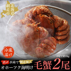 yӂ邳Ɣ[Łzys\zIz[cNCYl䥂ŖъI2①͂iIz[cNCYEԑHji2026N415ȍ~jy ӂ邳Ɣ[ lC  LO т ъI 
