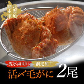 【ふるさと納税】【先行予約】流氷海明け活〆毛がに2尾（冷蔵便）【2026年4月中旬～発送開始予定】（網走加工）【 ふるさと納税 人気 おすすめ ランキング 毛がに 毛ガニ 毛蟹 カニ ガニ 蟹 海鮮 新鮮 かに味噌 カニ味噌 冷蔵 流氷明け 北海道 網走市 送料無料 】 ABAO2129