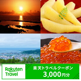 【ふるさと納税】北海道留萌市の対象施設で使える 楽天トラベルクーポン 寄付額10,000円 (クーポン3,000円) 北海道 宿泊 宿泊券 ホテル 旅館 旅行 旅行券 観光 トラベル チケット 旅 宿 券