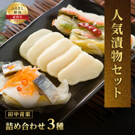 【ふるさと納税】田中青果漬物詰め合わせAセット　【漬け物・発酵食品・詰め合わせ】