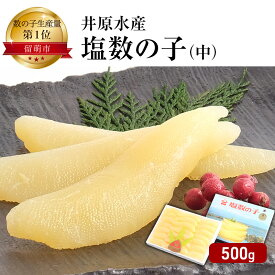 【ふるさと納税】塩数の子 北海道 数の子 中 500g 井原水産 ごはんのお供 惣菜 おかず 珍味 海鮮 海産物 魚介 魚介類 おつまみ つまみ 本チャン かずのこ カズノコ 井原 水産　【 留萌市 】