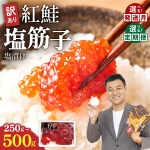 【ふるさと納税】すじこ 訳あり 北海道 紅鮭 塩 筋子 500g (250g×2個入)選べる配送月・定期便 加藤水産 ひとくちカット 不揃い 小分け 塩筋子 筋子塩漬け つまみ おつまみ魚介類 魚卵 鮭 いく