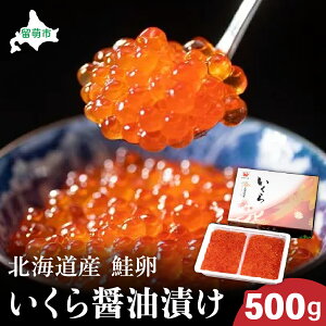 yӂ邳Ɣ[ŁzkCY  ݖЂ 500g  CN   CN 