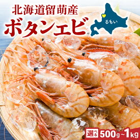 【ふるさと納税】【年内配送　年内発送　北海道】選べる量 漁師採りたて ボタンエビ 500g~1kg 北海道留萌産 ボタンえび ぼたんえび ボタン海老 えび エビ 海老 お刺身 刺身 塩焼き 塩ゆで 天ぷら 海鮮 魚介 魚介類 北海道 留萌 留萌市