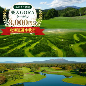 【ふるさと納税】北海道苫小牧市の対象ゴルフ場で使える楽天GORAクーポン 寄付額10,000円