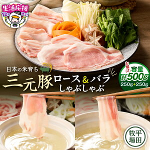 �y�ӂ邳�Ɣ[�Łz �y���ʁE���Ԍ��� 12/31�܂� �N�� �񕍊z����z ���{�̕Ĉ炿���c�q�� �O���؃��[�X�E�o������Ԃ���ԁ@�e250g�i�v500g�j �� ���� �ɂ� �H�i �Ϗ��q�s�Y �l�C �������� ����