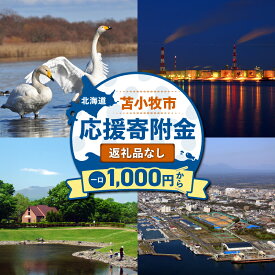 【ふるさと納税】＜返礼品なし＞ 北海道 苫小牧市 応援 寄附金 1,000円 ～ 10,000円 寄附 寄付 支援 発展 雇用 子育て 子ども 子供 移住 雇用環境の整備 子育て環境の整備 移住促進 住みやすい環境の整備 ふるさと納税 おすすめ ランキング プレゼント ギフト