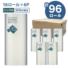 【ふるさと納税】 ネピア 北海道トイレットロール シングル 計96ロール 65m 紙のまち苫小牧 トイレットペーパー トイレットロール nepia 限定 日用品 消耗品 無香料 まとめ買い 防災 備蓄 災害 開発ストア 北海道 苫小牧市 おすすめ ランキング プレゼント
