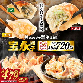 【ふるさと納税】＜選べる種類・容量・回数＞ ぎょうざの宝永 宝永 餃子 チーズ餃子 しそ餃子 1kg 〜 1.5kg 定期便 冷凍 ギョーザ 肉 チーズ 食べ比べ セット 水餃子 焼き餃子 惣菜 総菜 北海道 苫小牧市 おすすめ ランキング プレゼント ギフト
