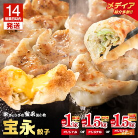 【ふるさと納税】【14営業日以内に発送】＜選べる種類と容量＞ ぎょうざの宝永 宝永 餃子 チーズ餃子 1kg ～ 1.5kg 冷凍 ギョーザ 肉 野菜 チーズ 食べ比べ セット 水餃子 焼き餃子 もちもち ジューシー 中華 北海道 苫小牧市 おすすめ ランキング プレゼント ギフト
