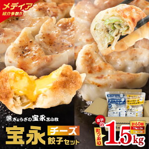 【ふるさと納税】<選べる種類と容量> ぎょうざの宝永 宝永 餃子 チーズ餃子 1kg 〜 1.5kg 冷凍 ギョーザ 肉 野菜 チーズ 食べ比べ セット 水餃子 焼き餃子 もちもち ジューシー 中華 北海道