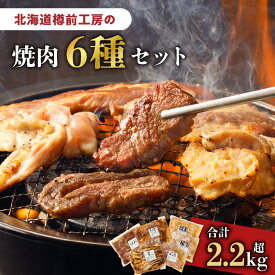 【ふるさと納税】北海道樽前工房 の 焼肉 6種 セット 肉 牛 牛肉 豚 豚肉 鶏 鶏肉 焼き肉 おかず おつまみ バーベキュー さがり カルビ せせり ホルモン にんにく醤油 味噌 塩 味付き 樽前コーポレーション 北海道 苫小牧市 おすすめ ランキング プレゼント ギフト