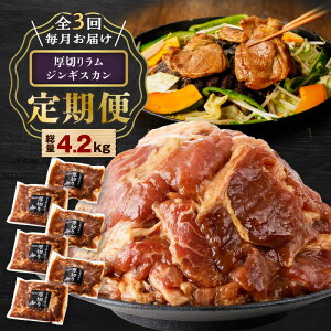 yӂ邳Ɣ[ŁzS3  ؂胉WMXJ 3 4.2kg ē Ă  r  WMXJ t ؂ y  ܂ ȒP  BBQ o[xL[ Ⓚ e {[