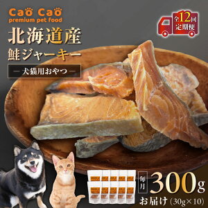 yӂ邳Ɣ[ŁzIׂeʂƉ񐔁 6 or 12  Cao Cao kCY W[L[ 90g or 300g Lp   u  W[L[ Y Oet[ Y ybg  L t[h WORL