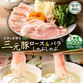 【ふるさと納税】 日本の米育ち平田牧場 三元豚ロース・バラしゃぶしゃぶ　各250g（計500g） 肉 お肉 にく 食品 苫小牧市産 人気 おすすめ 送料無料 ギフト