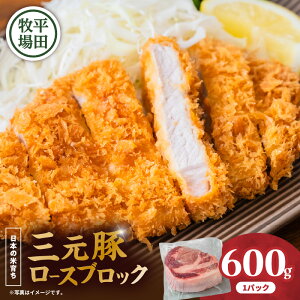 yӂ邳Ɣ[Łz cq O؃[XubN 600g   ɂ  ؓ u^ Ԃ O [XubN  o[NV[ ʕi ֗ pbN  [H   W