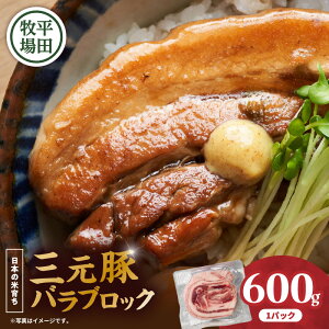 yӂ邳Ɣ[Łz cq O؃oubN 600g   ɂ  ؓ u^ Ԃ O oubN o ؃o  o[NV[ ʕi ֗ pbN  [H  