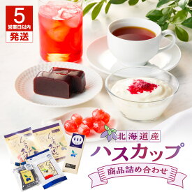 【ふるさと納税】【5営業日以内に発送】 ハスカップ商品 詰め合わせ 羊羹 ハスカップ ティーバッグ 濃縮顆粒 ロニセラ 大根 のど飴 ようかん フレーバーティー あめ セット お菓子 おやつ はすかっぷサービス 北海道 苫小牧市 おすすめ ランキング プレゼント ギフト