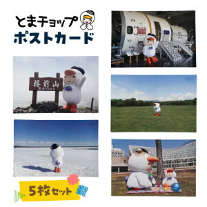 �y�ӂ邳�Ɣ[�Łz�|�X�g�J�[�h 5�� �Z�b�g �Ƃ܃`���b�v �L�����N�^�[ �����n ���L���� �X�� �N���b�N�|�X�g �Ϗ��q�ό����� �k�C�� �Ϗ��q�s �������� �����L���O �v���[���g �M�t�g