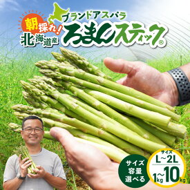 【ふるさと納税】＜選べるサイズと容量＞ ロマンス農園 ろまんスティック Lサイズ 2Lサイズ 1kg ～ 10kg アスパラガス 野菜 旨味 うま味 新鮮 やわらかい みずみずしい 糖度 ブランド アスパラ 国産 数量 期間 限定 北海道 苫小牧市 おすすめ ランキング プレゼント ギフト