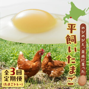 �y�ӂ邳�Ɣ[�Łz���I�ׂ�e�ʁE�񐔁� ���������܂� 24�� or �󂠂� 30�� ����� �� ���܂� �{�� �ʎq ���� �^�}�S �G�b�O ������ ���������͂� HokkaidoGreenCompany �k�C�� �Ϗ��q�s �������� ����