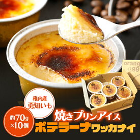 【ふるさと納税】 焼きプリンアイス 約 70g × 10個 北海道 ポテラーナワッカナイ 焼きプリン スイーツ ギフト プレゼント 贈り物 送料無料 【配送不可地域：離島】【1002679】