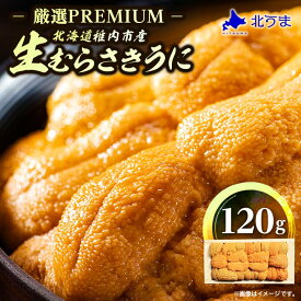 【ふるさと納税】【厳選PREMIUM】美味しいウニは昆布の名産地にあり!生むらさきうに120g【配送不可地域：離島】【1221080】