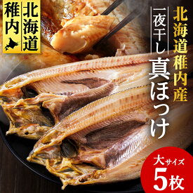 【ふるさと納税】稚内産一夜干し真ほっけサイズ大5枚法華 ほっけ ホッケ 干物 一夜干し 真ホッケ 加工品 北海道ふるさと納税 稚内 ふるさと納税 北海道 【配送不可地域：離島・沖縄県】