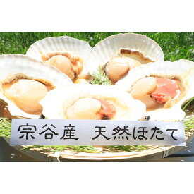 楽天市場 ホタテ ウロの通販