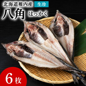 �y�ӂ邳�Ɣ[�Łz�t���Y���┪�p 6�����g�� ������ ���p �g�N�r�� �� �C�N �C�Y�� �k�C���ӂ邳�Ɣ[�� �t�� �ӂ邳�Ɣ[�� �k�C�� �y�z���s�n��F�����E���ꌧ�z