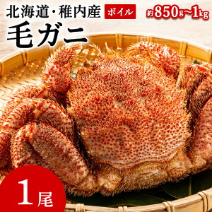 yӂ邳Ɣ[ŁzkCY уKj 1 850g`1kg ({C)y2025z{C т уKj ъI {C I Jj kCӂ邳Ɣ[ t ӂ邳Ɣ[ kC yzsnFEꌧ