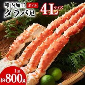 yӂ邳Ɣ[ŁzyЃ{C2024ztH{C^oɑ4L800gΊI I _ ^oKj  ^oKjr Jj_r CN CY kCӂ邳Ɣ[ t ӂ邳Ɣ[