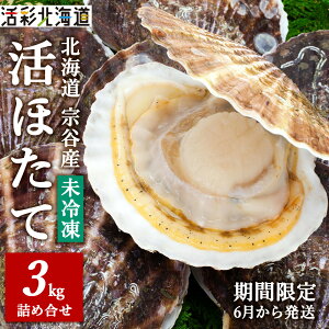 yӂ邳Ɣ[Łzys\zs①ւł͂!tkC@JYz^e3kgOlZbg jQ!ق z^e  L L  kCӂ邳Ɣ[ t ӂ邳Ɣ[ kC y