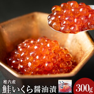 yӂ邳Ɣ[Łzݖ(ݖ)300g ݖЂ  Hi CN CY kCӂ邳Ɣ[ t ӂ邳Ɣ[ kC yzsnFEꌧz